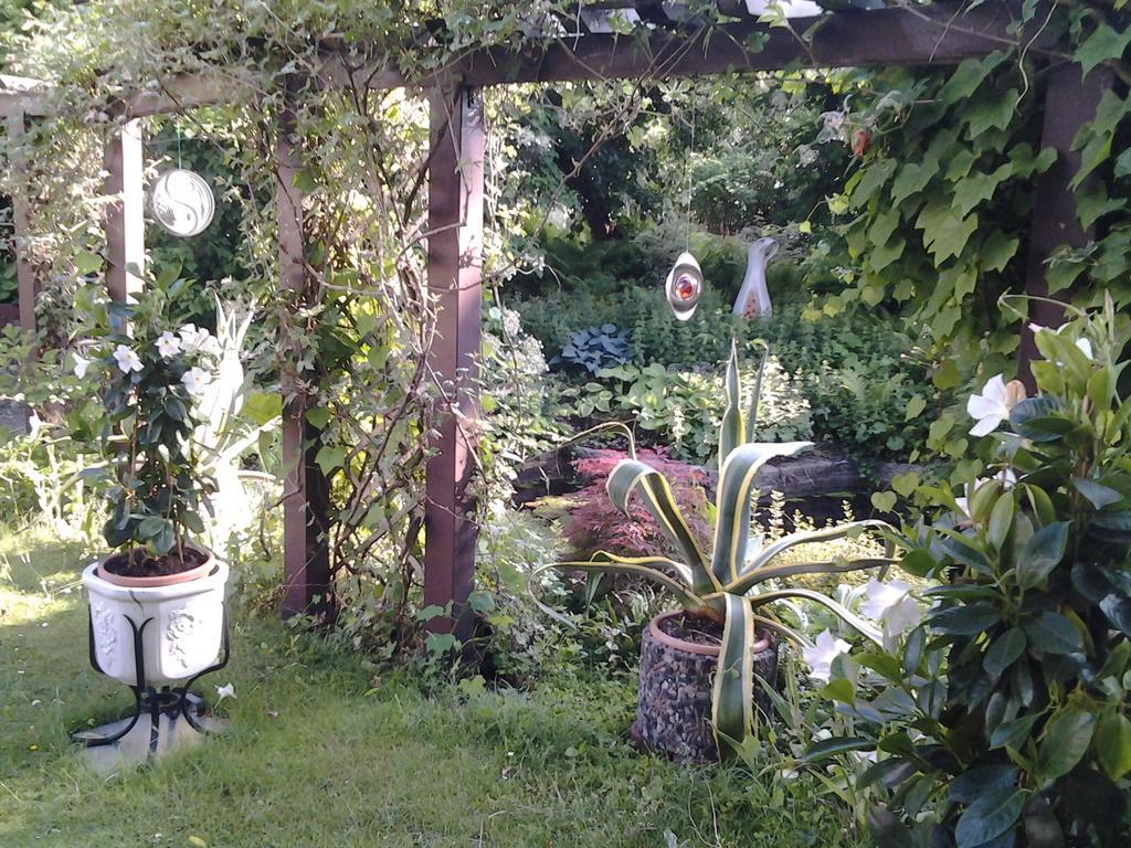 Gartenhaus Steffie Πότσδαμ Εξωτερικό φωτογραφία
