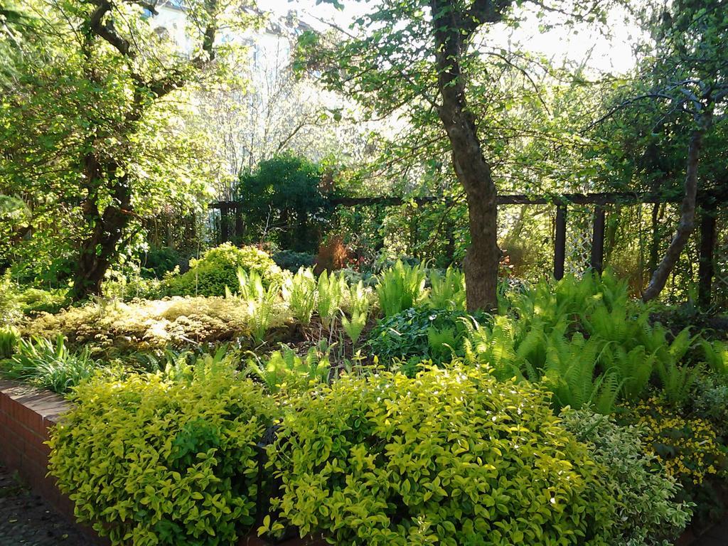 Gartenhaus Steffie Πότσδαμ Εξωτερικό φωτογραφία
