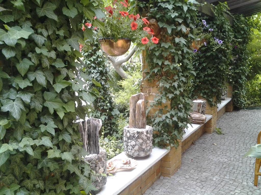 Gartenhaus Steffie Πότσδαμ Εξωτερικό φωτογραφία